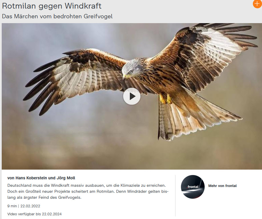 Blog03 Windkraftanlagen Rotmilan ZDF-Frontal-Bericht vom 2022-02-22 Video Forschungsprojekt Eurokite.jpg